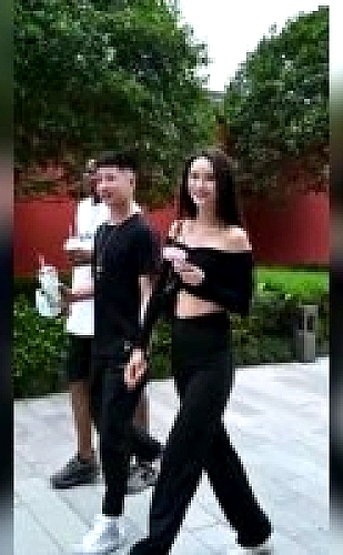 移动搜索结果与网页入口核验示意